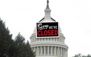government